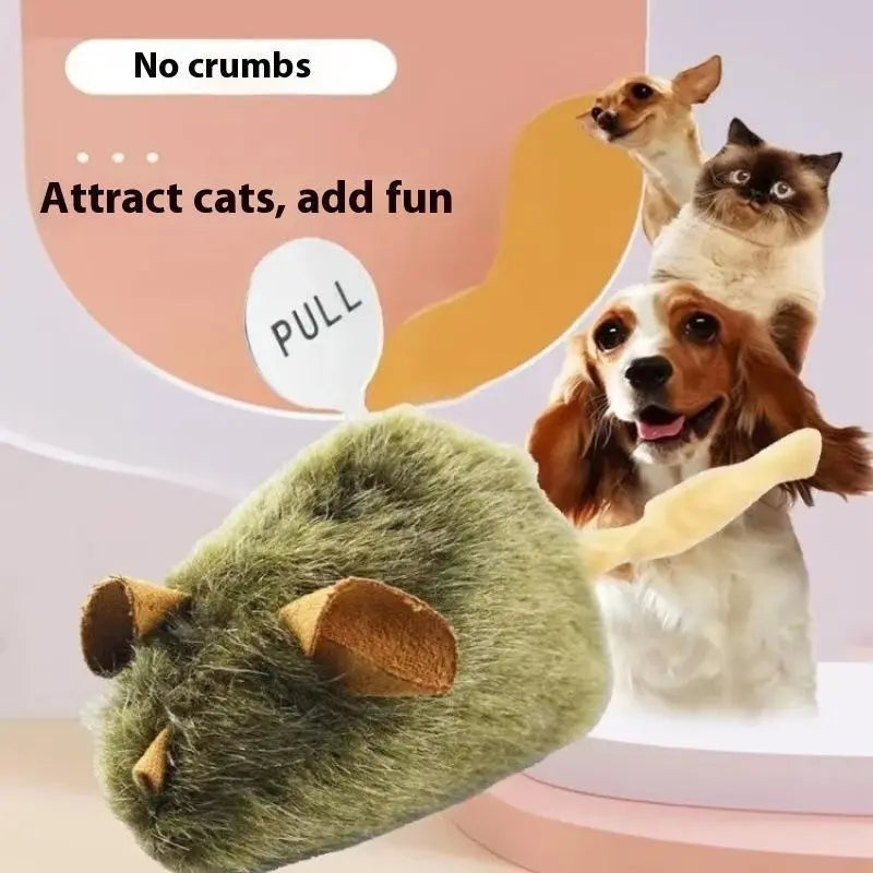 Cat Toy Interactive Plush Mouse Cat Toy Sound Mouse Toy Catnip Toy Bite Resistant Chew Toy for Cats Dogs Boredom Relief Pet Toy Gift