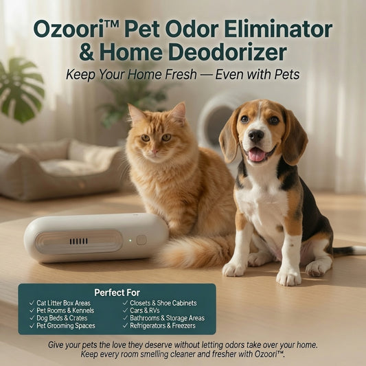Ozoori Home Deodorizer & Air Purifier – Eliminates Odors from Refrigerator, Kitchen, Bathroom, Car, Pet Areas & More